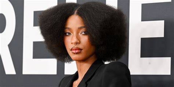 Did Willow Smith Pass Away? Setting the Record Straight