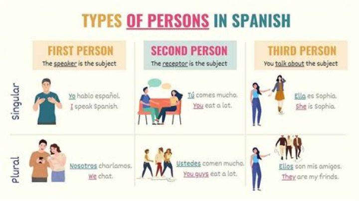 The Definitive Guide to Maya Dolas: Understanding the Basics